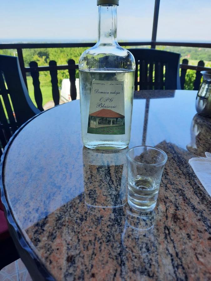 Gornja Gracenica Guest House Blazevic מראה חיצוני תמונה