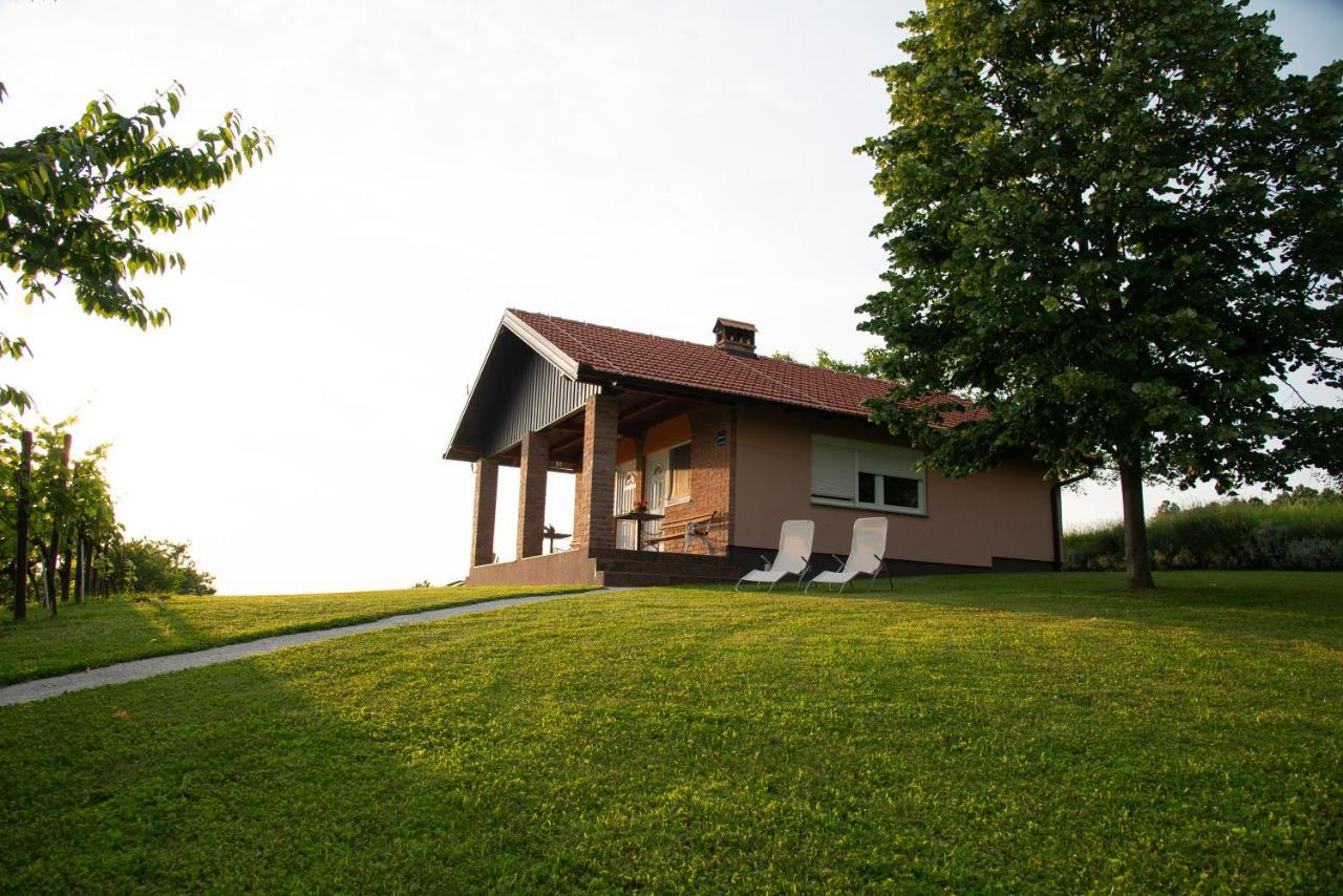 Gornja Gracenica Guest House Blazevic מראה חיצוני תמונה