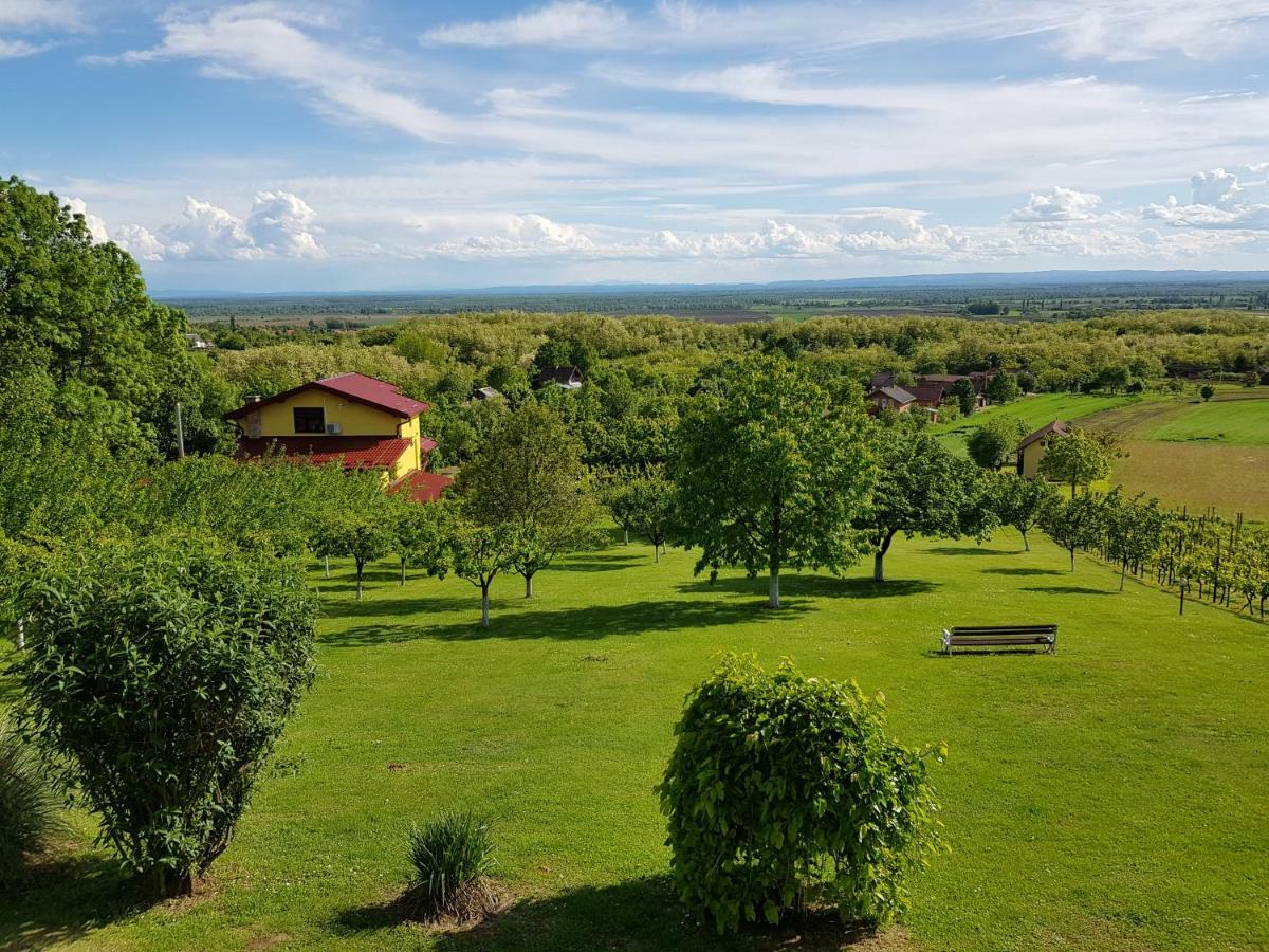Gornja Gracenica Guest House Blazevic מראה חיצוני תמונה